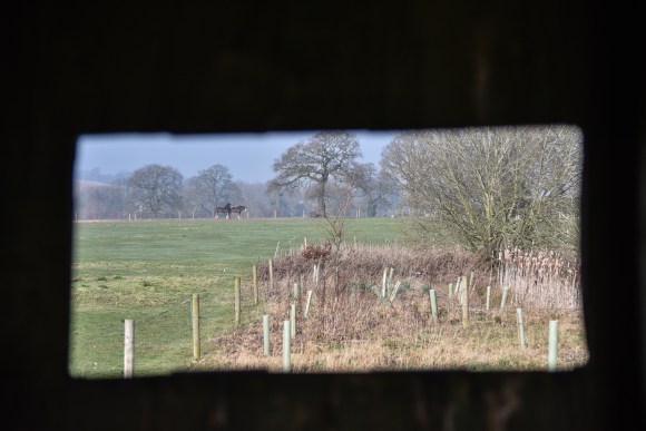 Cotebrook Shire Horse Centre